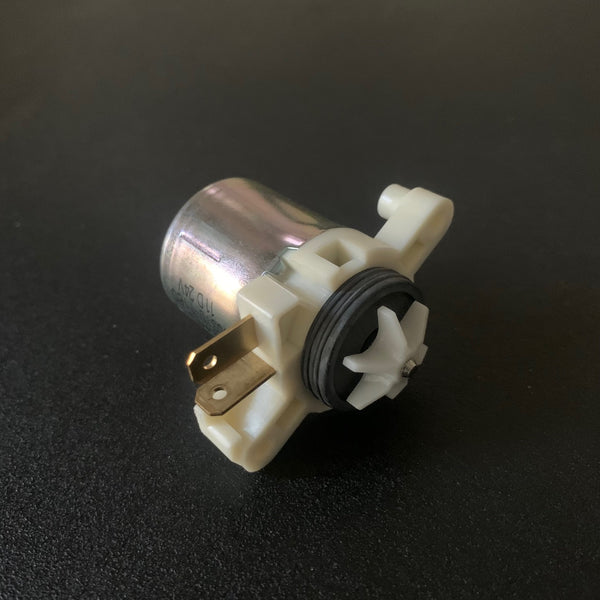 IMG_3338_grande.jpg?v=1710563994