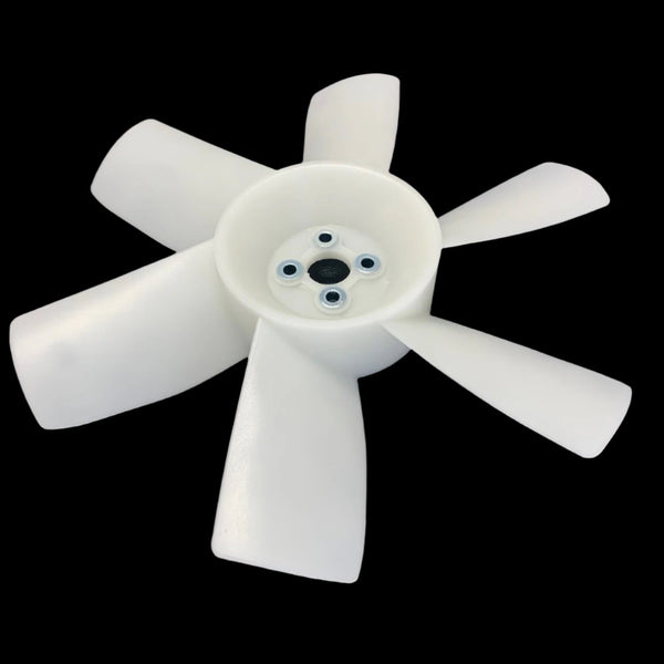 IMG_8719_grande.jpg?v=1728886735